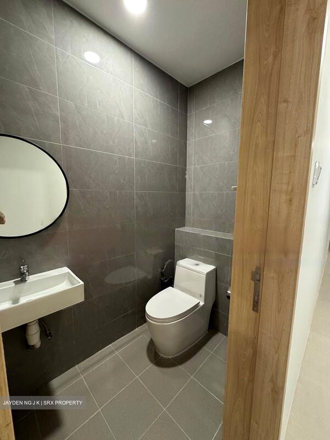 Windy Heights (D14), Condominium #458589481